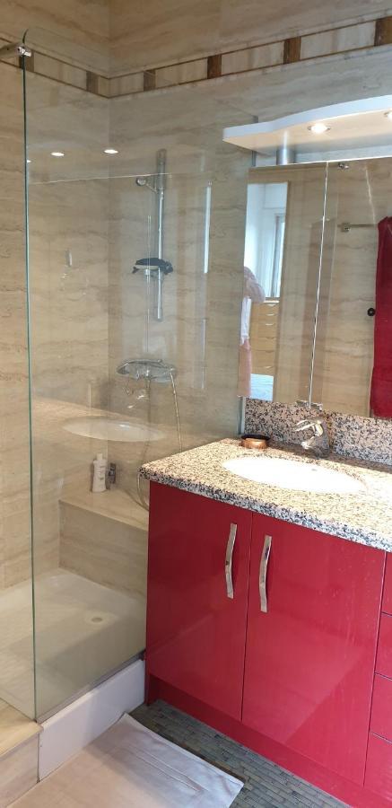 Appartement Lumineux De 90 M2 Situe En Centre Ville Annecy Dış mekan fotoğraf